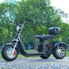 Off-Road-3-Rad-Fettreifen-Roller-Trike 05WQ mit 60-V-40-Ah-Batterie