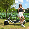 USA Stock Elektro-Fat-Tire-Scooter 1500 W 48 V 20 Ah mit großem Sitz ohne Logo