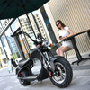 Elektrischer Fat Tire Scooter Citycoco Schwarz M1