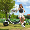 USA Stock Elektro-Fat-Tire-Scooter 1500 W 48 V 20 Ah mit großem Sitz ohne Logo