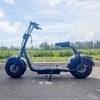 X1 Fat Tire Scooter mit Vorder- und Rücklichtern und abnehmbarem Akku