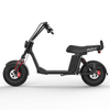 Elektrischer Fat Tire Scooter Citycoco X20