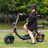 USA Stock Elektro-Fat-Tire-Scooter 1500 W 48 V 20 Ah mit großem Sitz ohne Logo