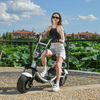 USA Stock Elektro-Fat-Tire-Scooter 1500 W 48 V 20 Ah mit großem Sitz ohne Logo