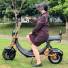 USA Stock Elektro-Fat-Tire-Scooter 1500 W 48 V 20 Ah mit großem Sitz ohne Logo