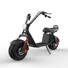 Elektrischer Fat Tire Scooter Citycoco X20