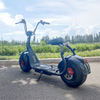 X1 Fat Tire Scooter mit Vorder- und Rücklichtern und abnehmbarem Akku